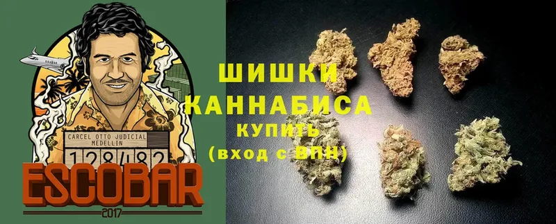 Шишки марихуана Bruce Banner  Змеиногорск 